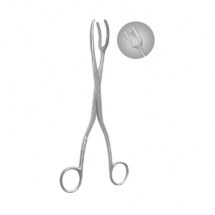 Sterilizing Forceps